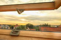 rated Horwood roof window companies
